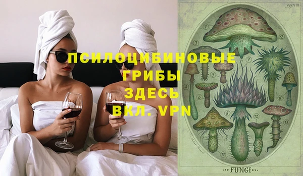 МДПВ Горняк