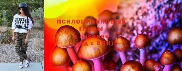 таблы Горнозаводск