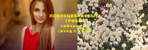 соль ск Горно-Алтайск