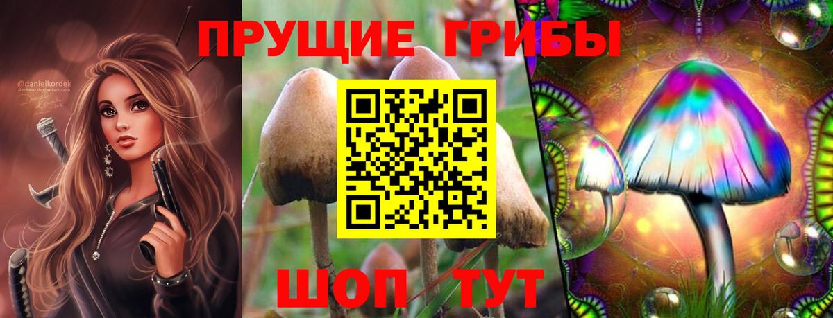 Набережные Челны  Псилоцибиновые грибы MAGIC MUSHROOMS  Вход с VPN 